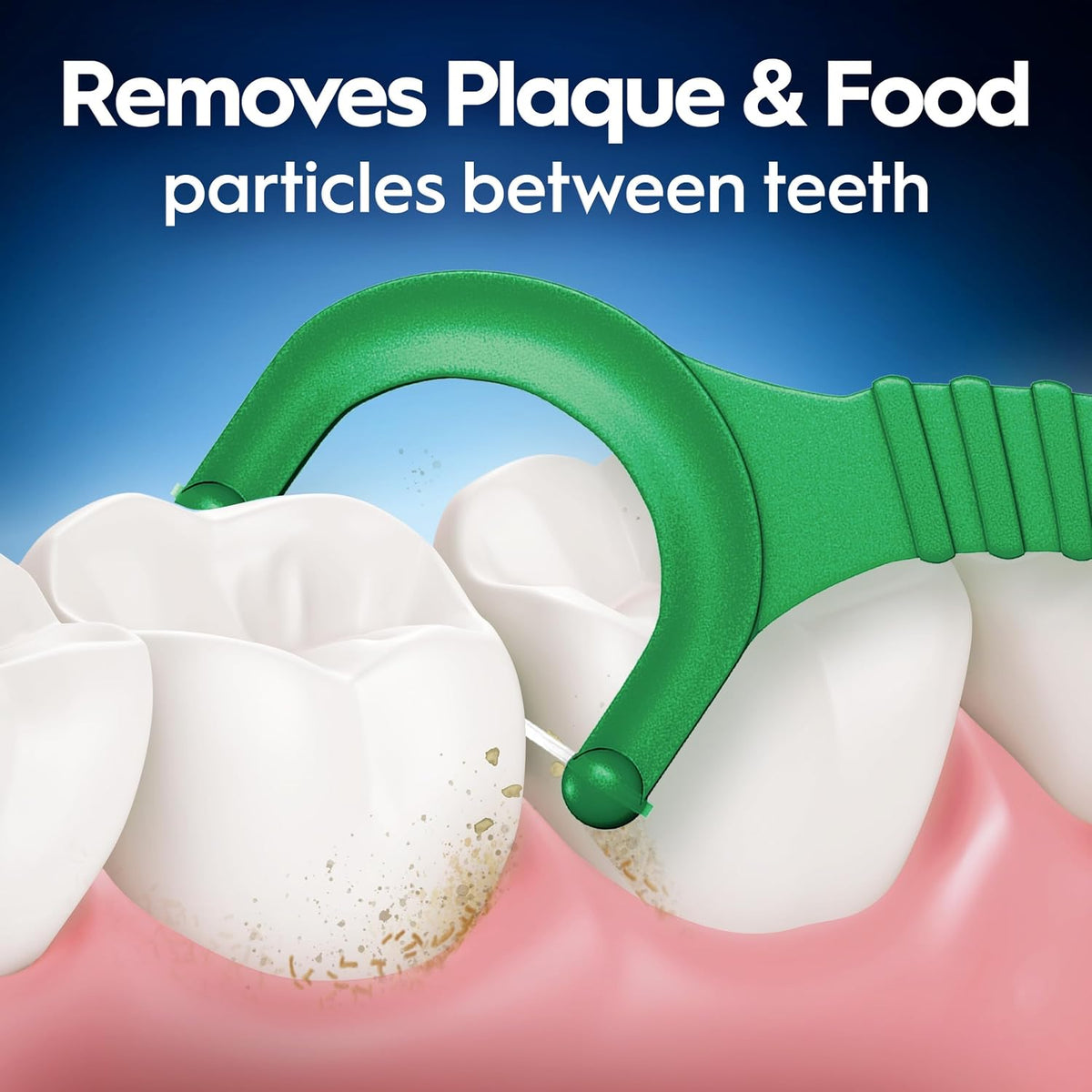 Oral-B Dental Floss Picks